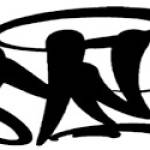 syna world