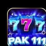 pak111 game apk