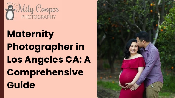 PPT - Maternity Photographer in Los Angeles CA A Comprehensive Guide PowerPoint Presentation - ID:14368944