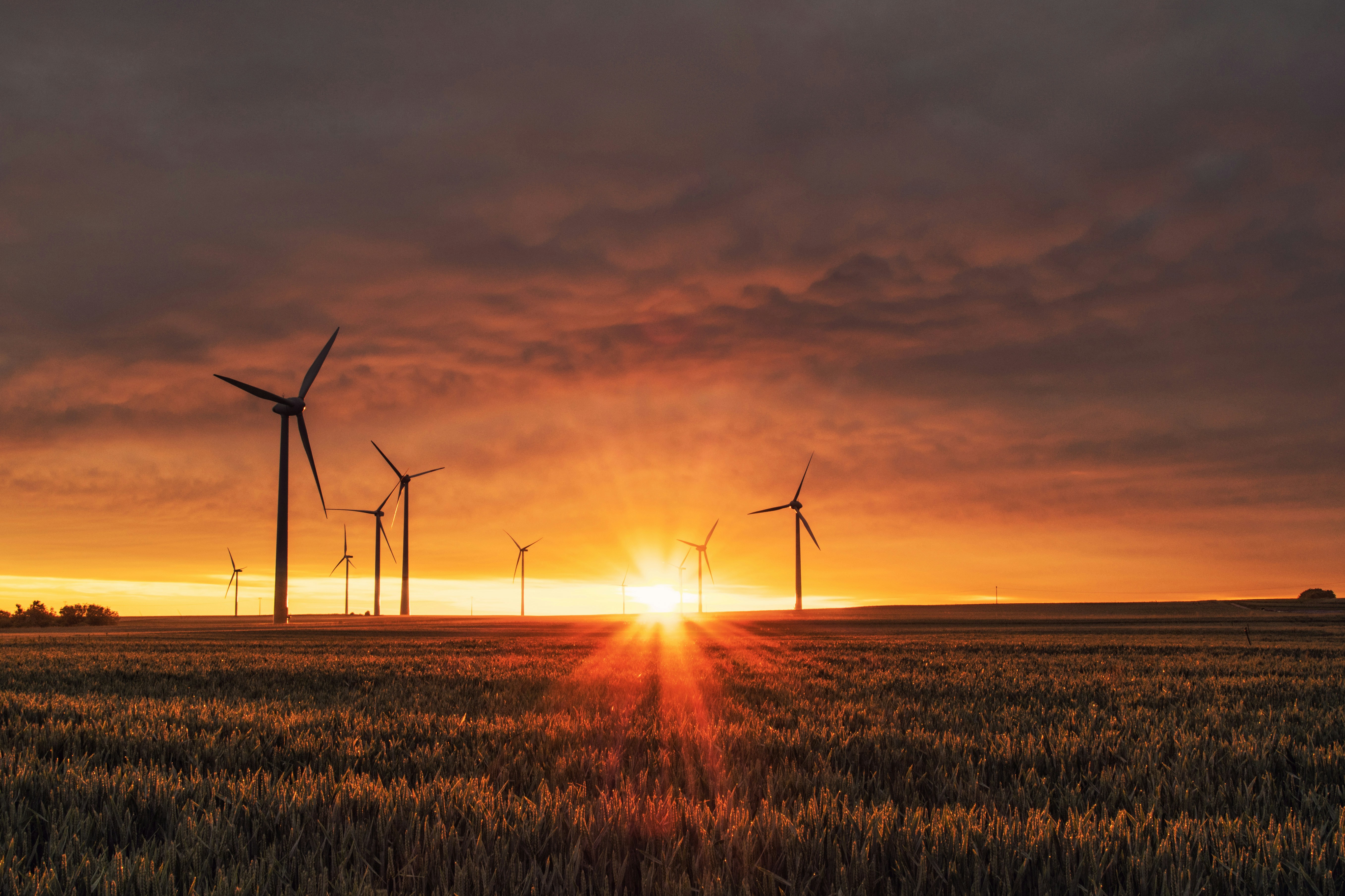 Learn about automating carbon emissions reporting