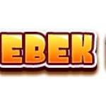 BEBEK SLOT