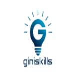 Gini Skills