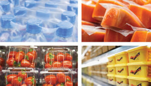 Barrier Packaging Market to Reach USD 24.14 Billion, Globally by 2034 at 2.8% CAGR: Future Market Insights, Inc. – FMIBlog
