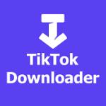 ssstiktok down