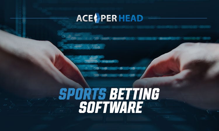 Best Sportsbook Software As Low As $3/Head | Sports Betting Services