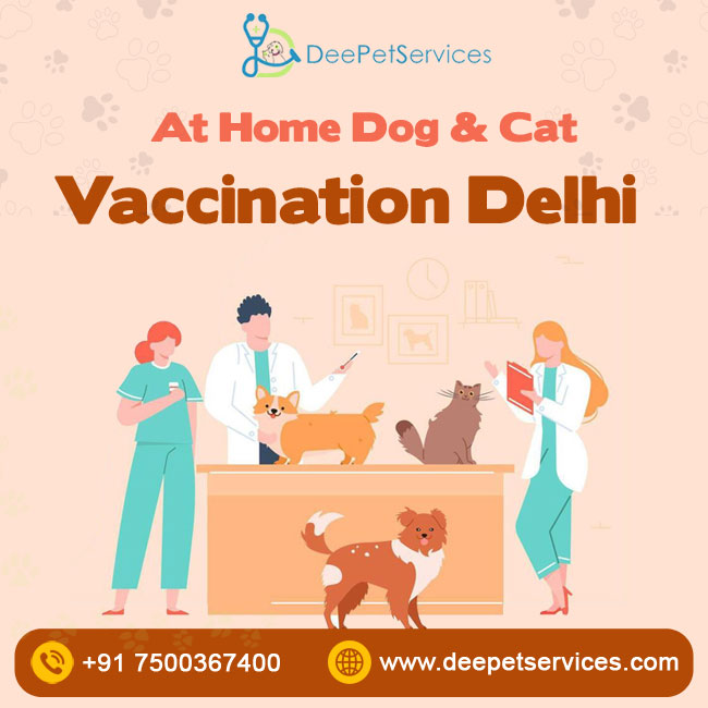 At Home Dog & Cat Vaccination in Delhi – DeePet Services