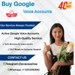 Buy Google Voice Accounts