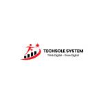 Techsole System Sytem