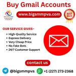 Big Smm PVA