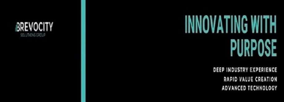 Brevocity Solutions Group