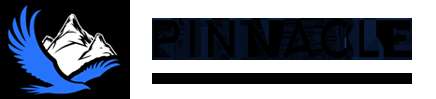 pinnaclewell measurementsolutions