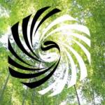 Elemental Acupuncture